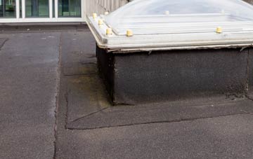 disadvantages of Westdowns flat roofs